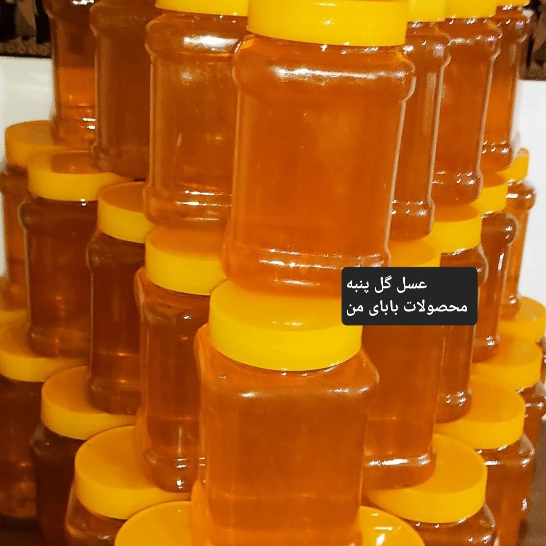 عسل(عسل گل پنبه )