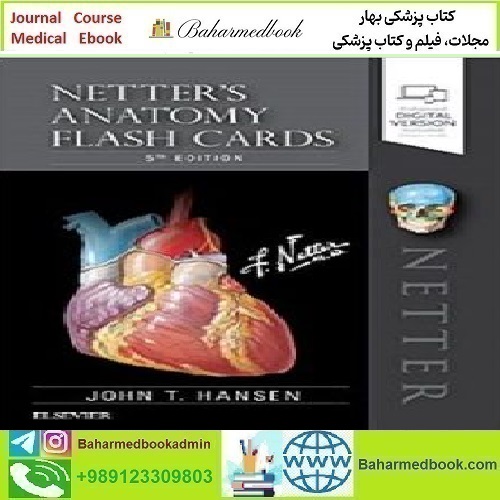 Netter&#039;s Anatomy Flash Cards 2019 TRUE PDF price 1€ - کتاب پزشکی بهار