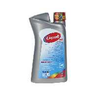 ضدیخ خودرو کاسپین یک گیلوگرمی مدل Super Anti Freeze