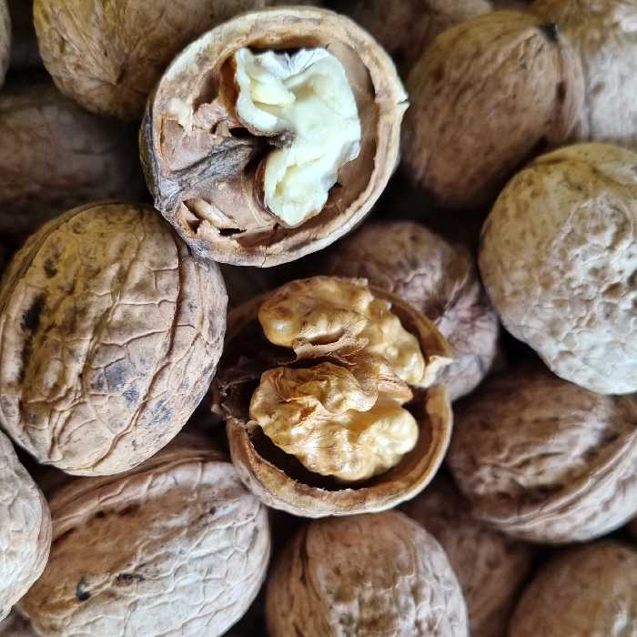 گردو  امساله پر چرب و خوشمزه خراسان شمالی فاروج (یک کیلویی)