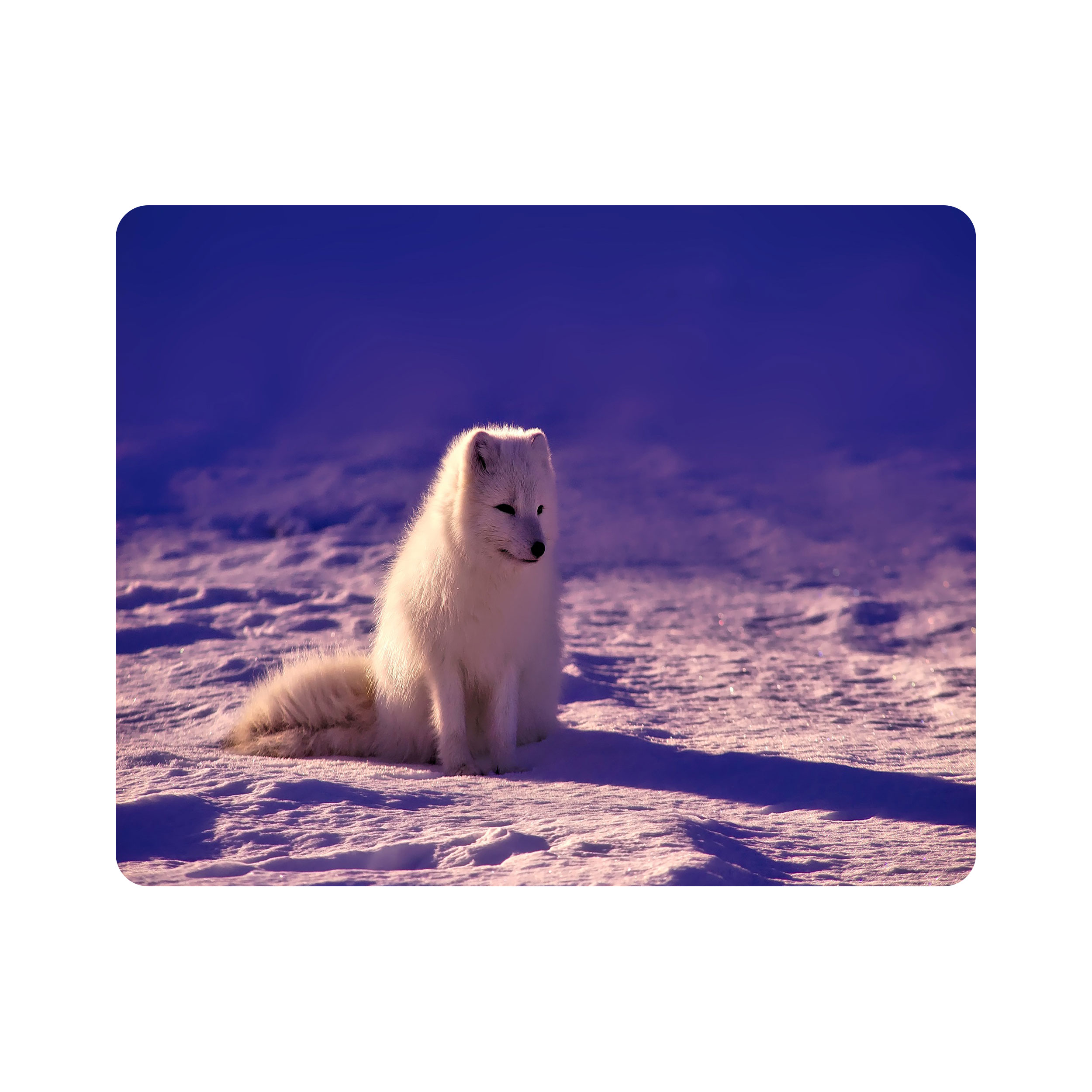 ماوس پد اطلس آبی طرح سگ در برف مدل T1644
