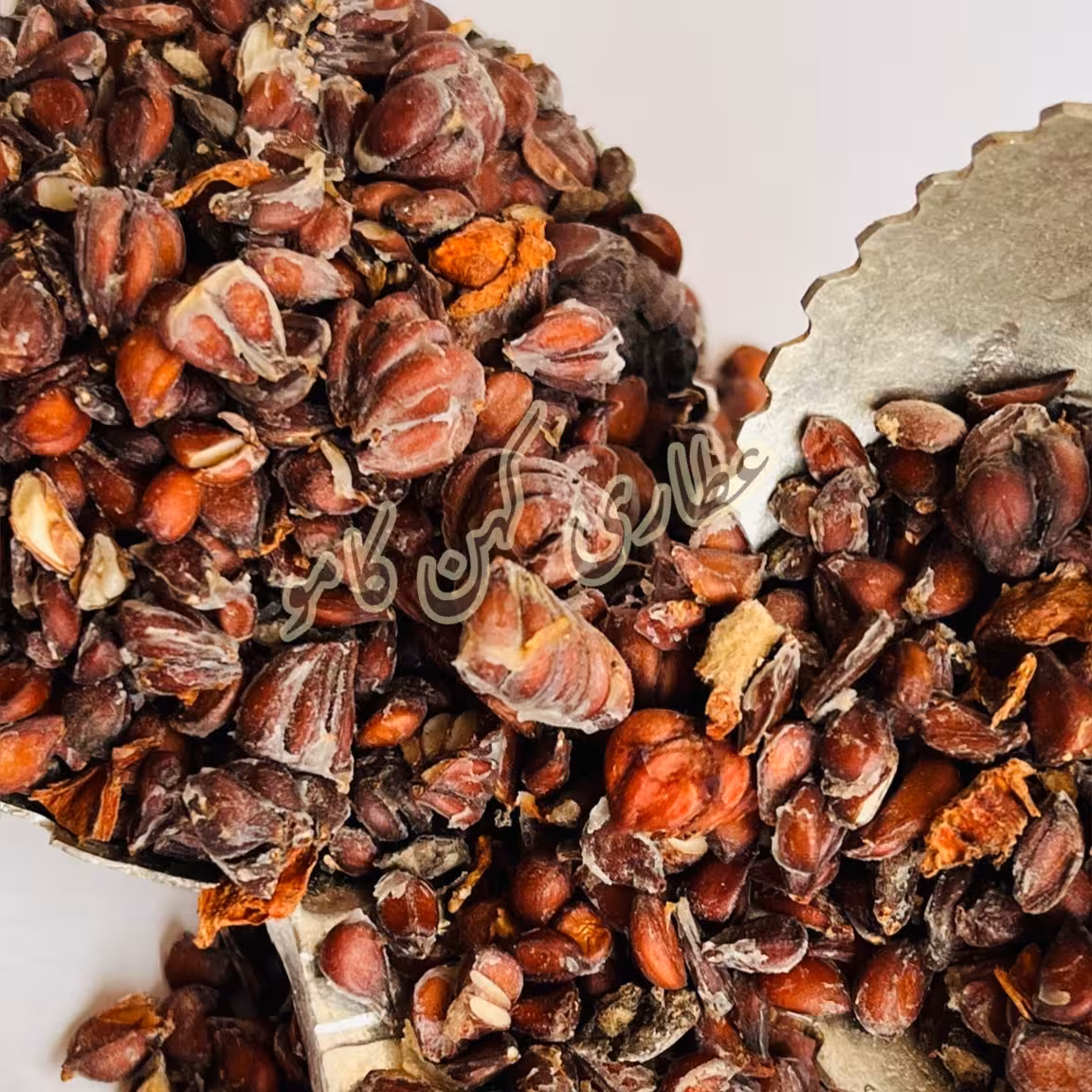 به دانه وزن100گرم