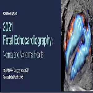 2021 Fetal Echocardiography Normal and Abnormal Hearts at 60€ - کتاب پزشکی بهار