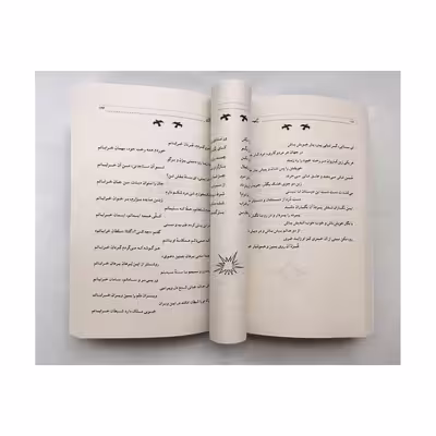 کتاب منتخب دیوان شمس انتشارات نور گیتی