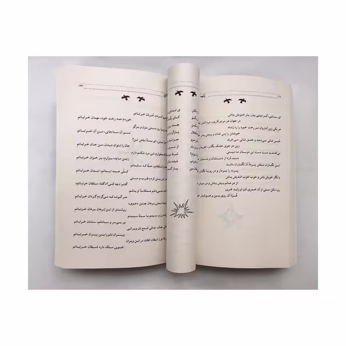 کتاب منتخب دیوان شمس انتشارات نور گیتی