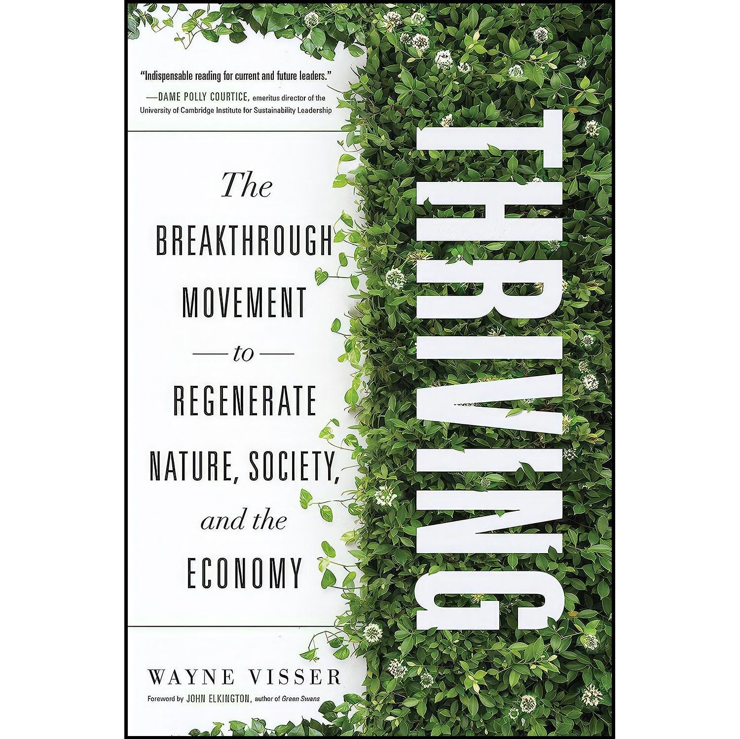 کتاب زبان اصلی Thriving اثر Wayne Visser