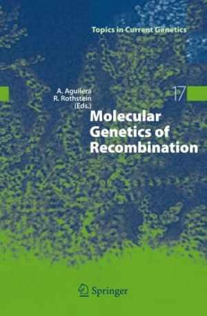 [DJVU] دانلود کتاب Molecular Genetics Of Recombination, 2007