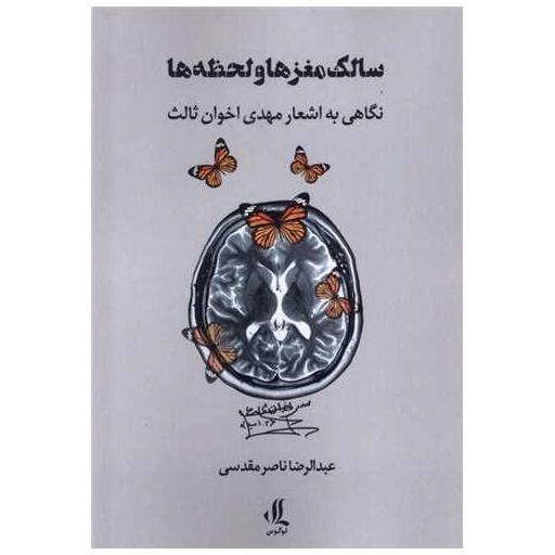 کتاب سالک مغزها و لحظهها اثر عبدالرضا ناصری مقدسی