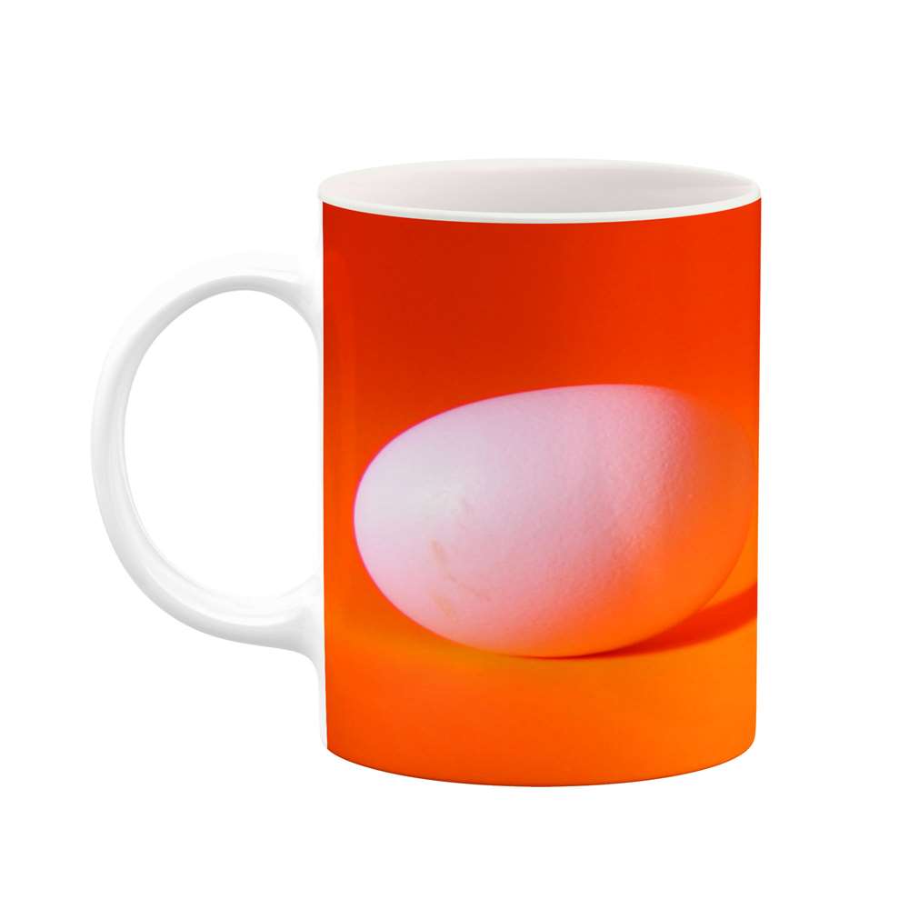 ماگ کاکتی طرح فانتزی مدل mgs16806