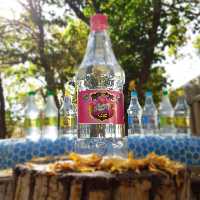 گلاب دوآتیشه نحل کاشان(40 کیلوگرم گل)