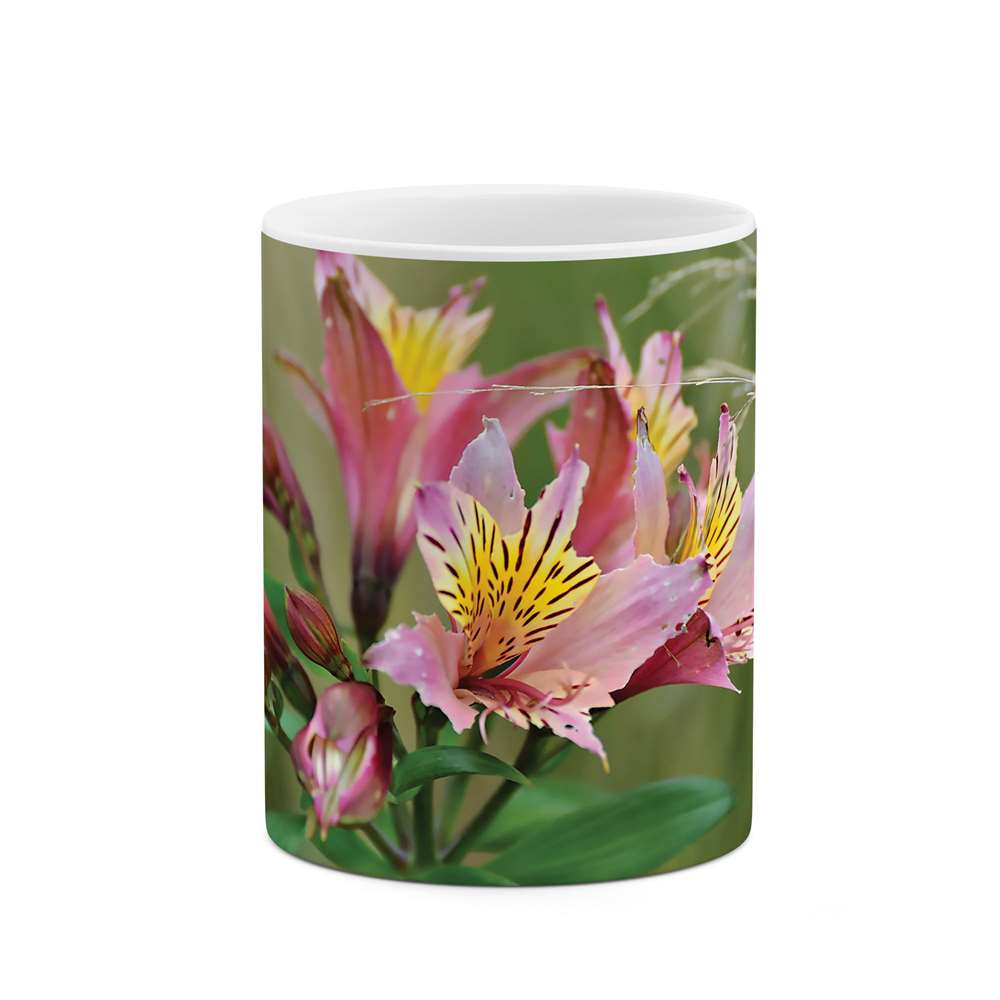 ماگ طرح شکوفه مدل mug04743