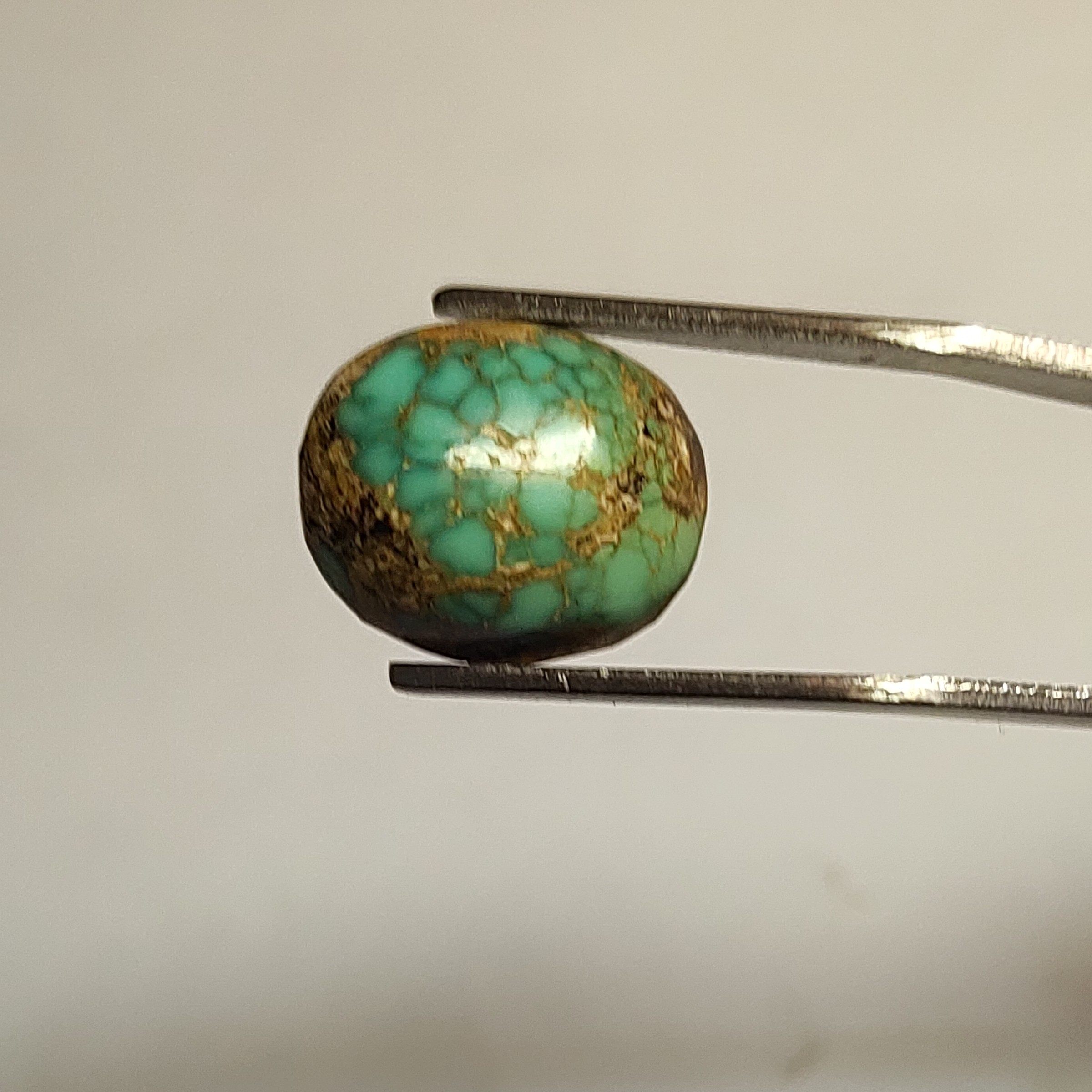 فیروزه نیشابوری شجر دار عنکبوتی  رگه طلایی بدون احیا