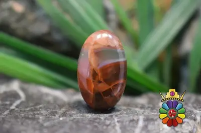 کرزی لس اگات