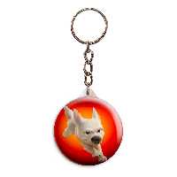 جاکلیدی پرمانه طرح تیزپا کد pmy.21721