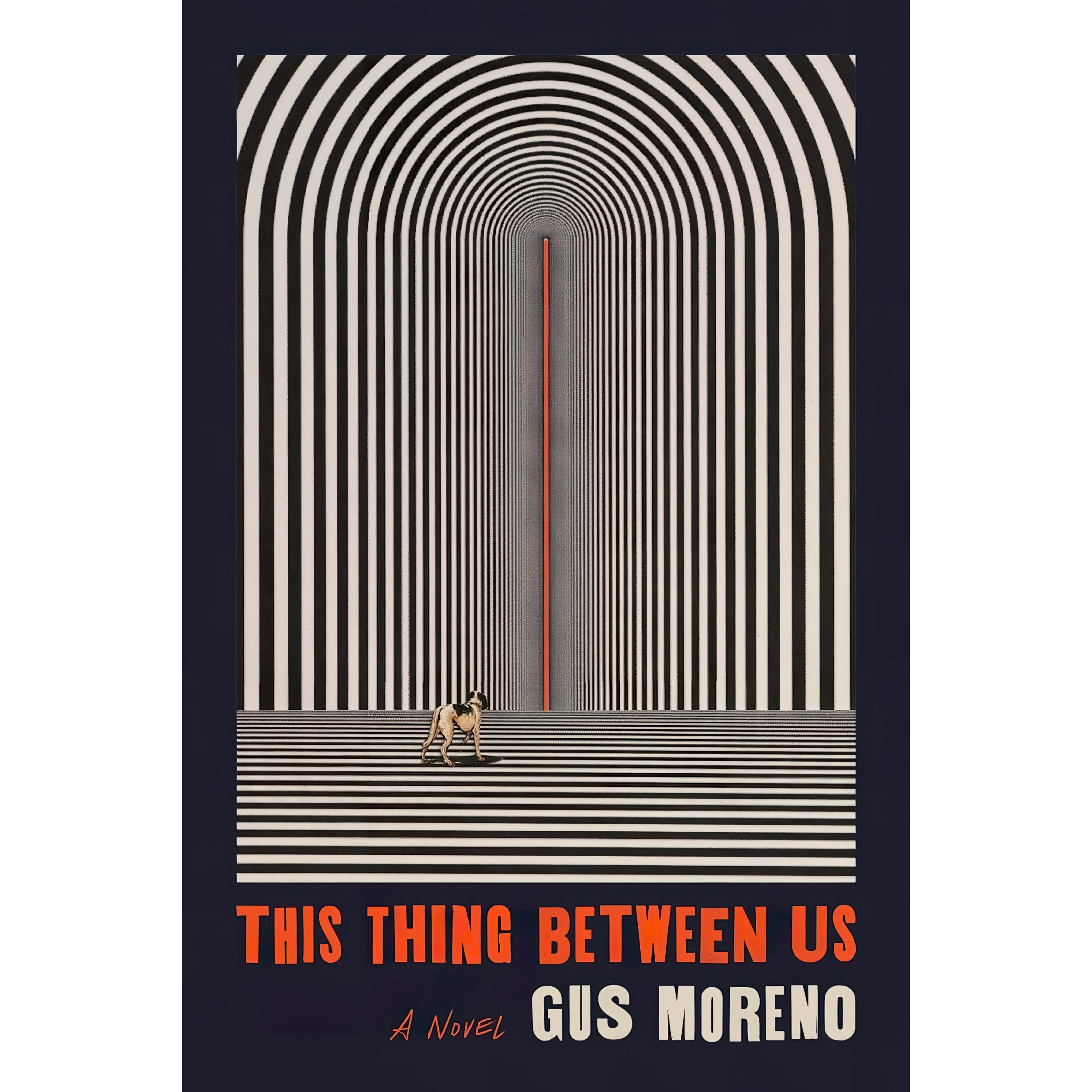 کتاب This Thing Between Us اثر Gus Moreno انتشارات MCD x FSG Originals