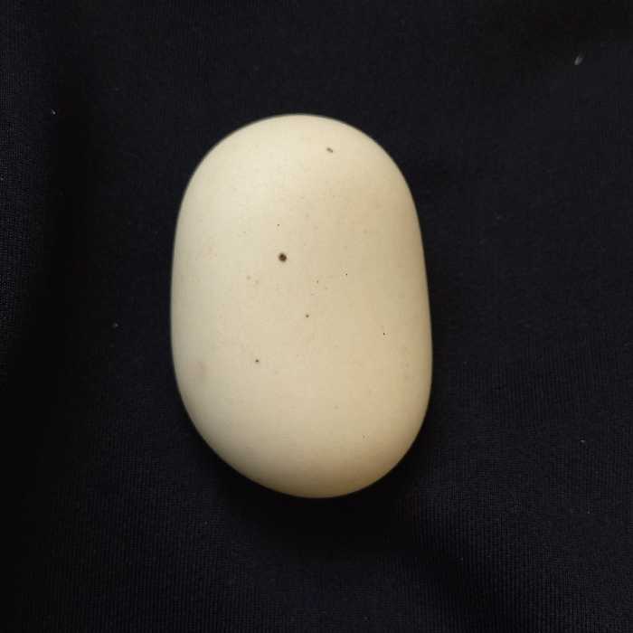 سنگ آسیاب 04 با هدیه