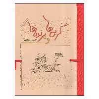 کتاب گربه ها و پرنده ها اثر کامبیز درم بخش انتشارات کارنامه
