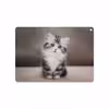 برچسب پوششی ماهوت مدل Cat-2 مناسب برای تبلت اپل iPad Air 2 2014 A1567
