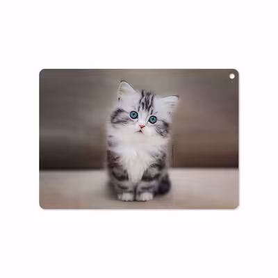 برچسب پوششی ماهوت مدل Cat-2 مناسب برای تبلت اپل iPad Air 2 2014 A1567