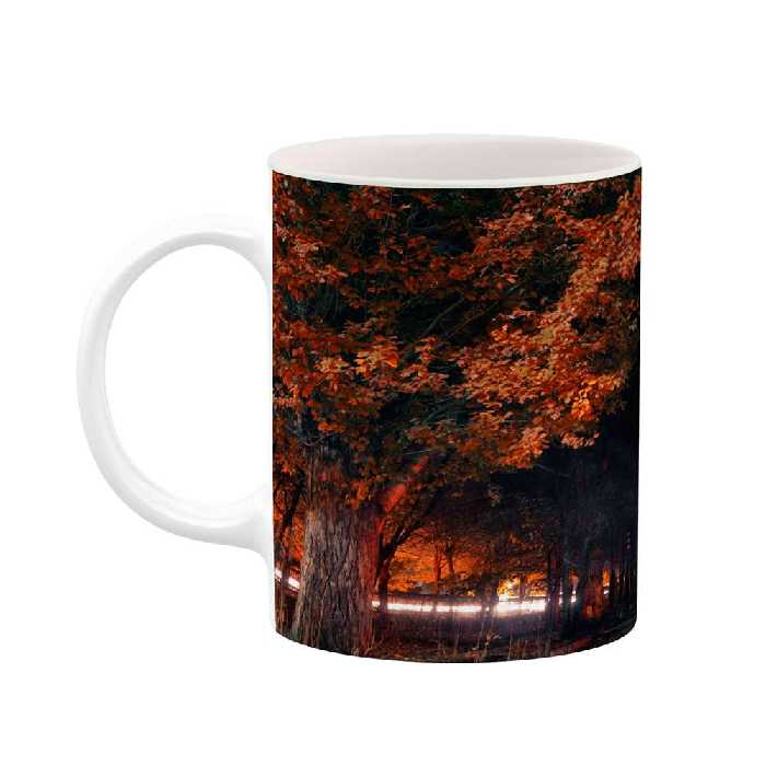 ماگ کاکتی طرح پاییز مدل mgh19313