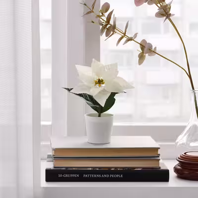 گلدان به همراه گل مصنوعی ایکیا مدل FEJKA کد 50468496