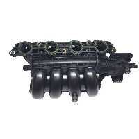 منیفولد هوای تیبا رادیکال