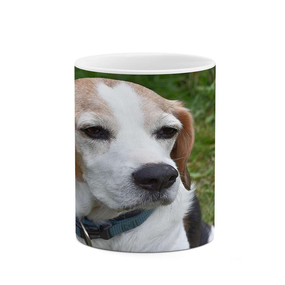 ماگ کاکتی طرح سگ مدل mgs14695