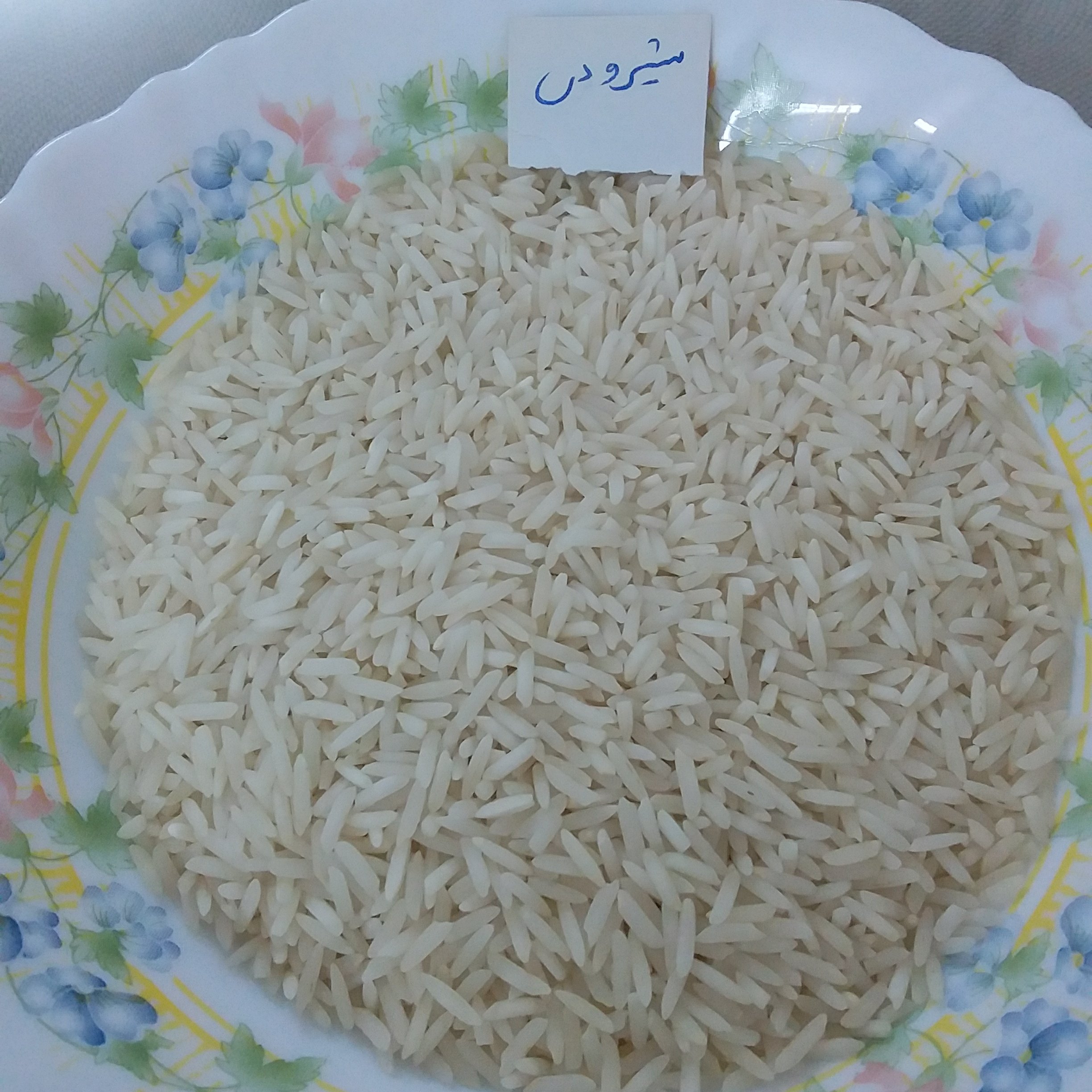 برنج شیرودی خوشپخت و کهنه محصول پارسال