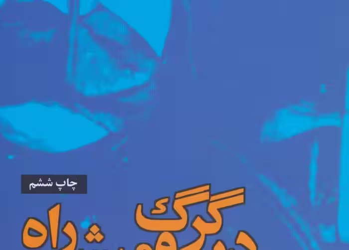 در گرگ و میش راه