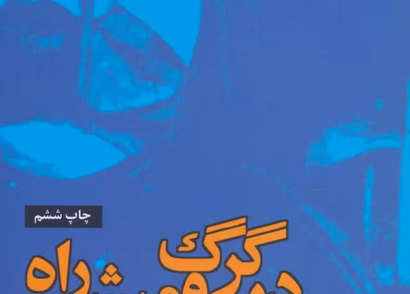 در گرگ و میش راه