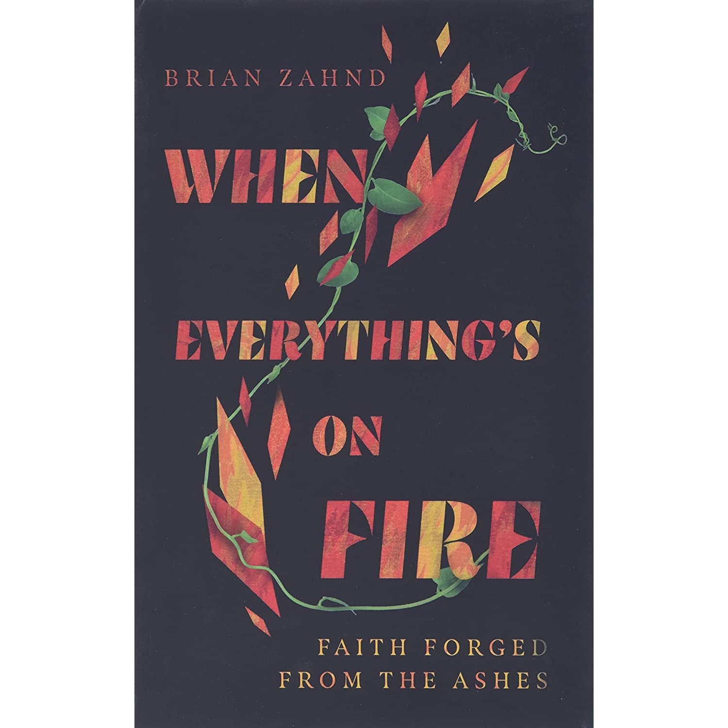کتاب When Everythings on Fire اثر Brian Zahnd انتشارات IVP