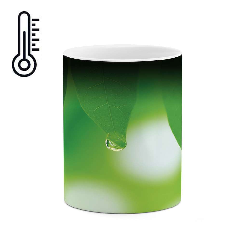 ماگ حرارتی طرح برگ پاییزی مدل mgh02738