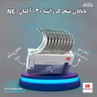 یاتاقان متحرک زانتیا 030 NE آلمان