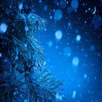 خرید و دانلود عکس Christmas_gift-7 کد 12415 | پیک فاکس | Pic Fox