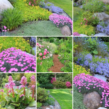 خرید و دانلود عکس Flower-Part-8 کد 18363 | پیک فاکس | Pic Fox