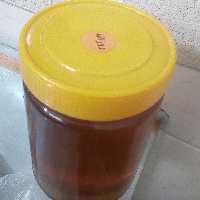 عسل روزانه(3500گرم)