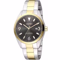 ES1G304M0235