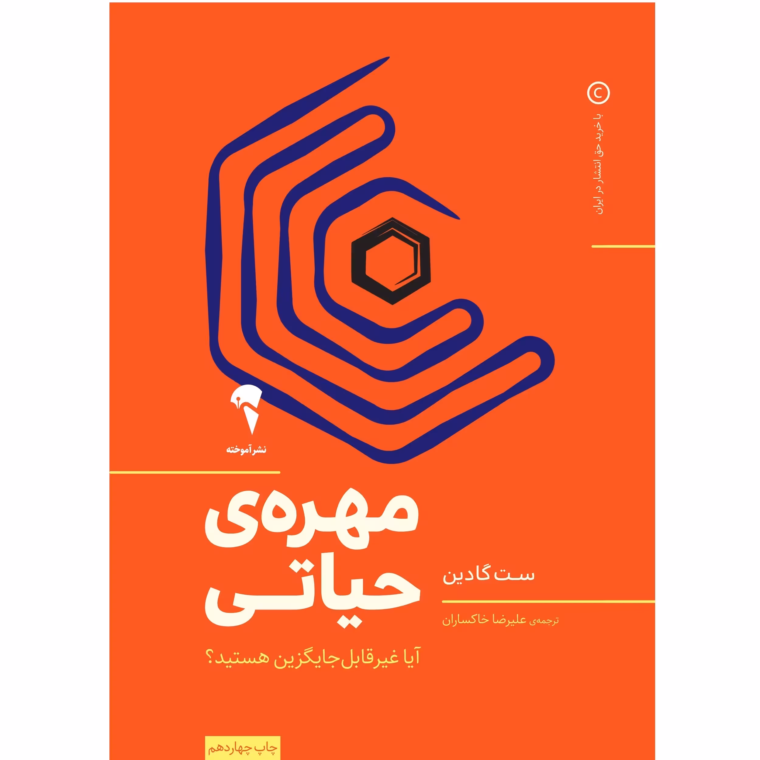 کتاب مهره حیاتی اثر ست گادین انتشارات ویدا 