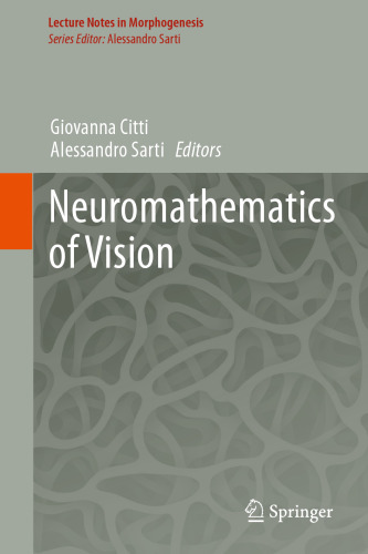 خرید و دانلود نسخه کامل کتاب Neuromathematics of Vision