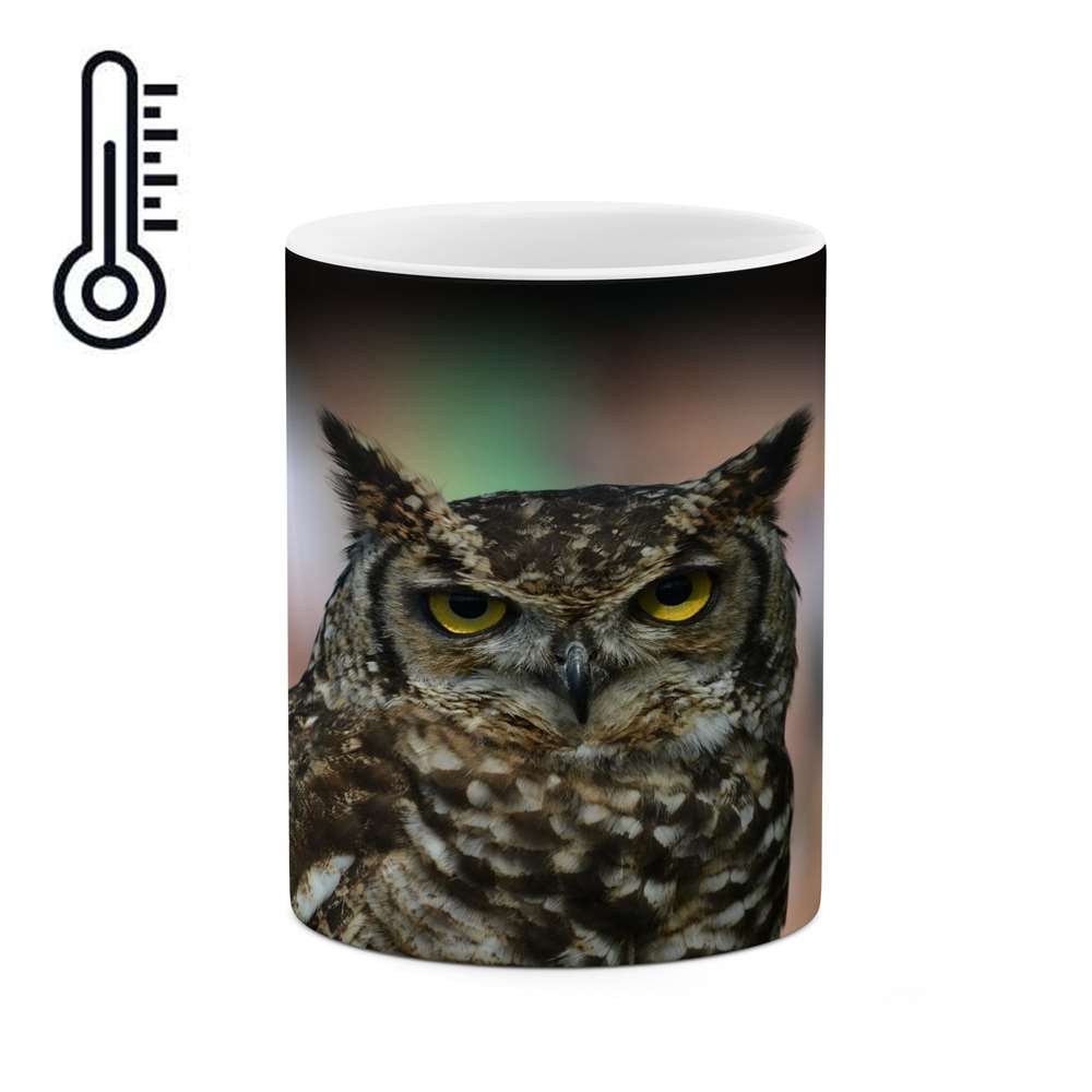 ماگ حرارتی کاکتی طرح جغد مدل mgh14768