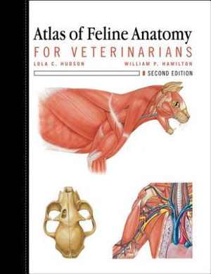 [PDF] دانلود کتاب Atlas Of Feline Anatomy For Veterinarians, 2017