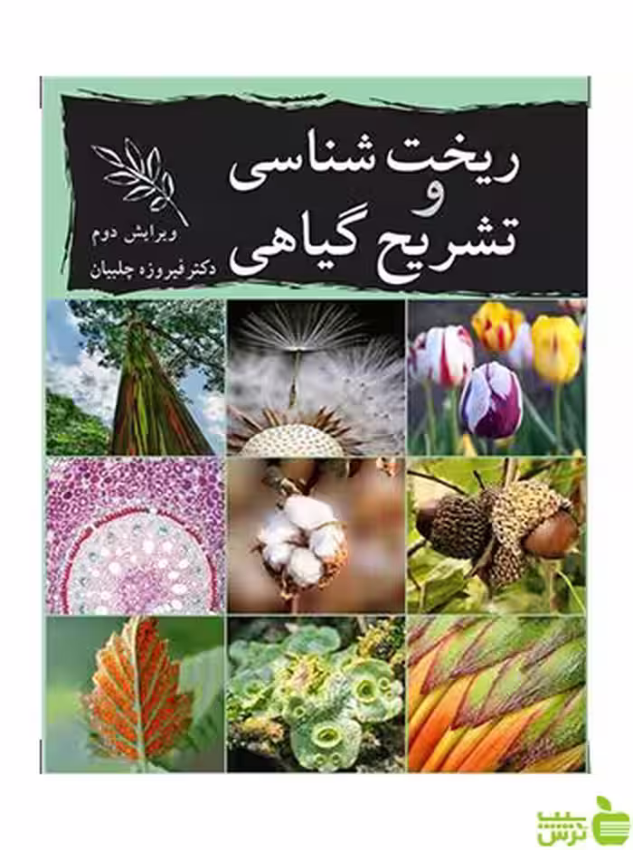 ریخت شناسی و تشریح گیاهی فیروزه چلبیان آییژ - سیب ترش - SibTorsh تخفیف ویژه