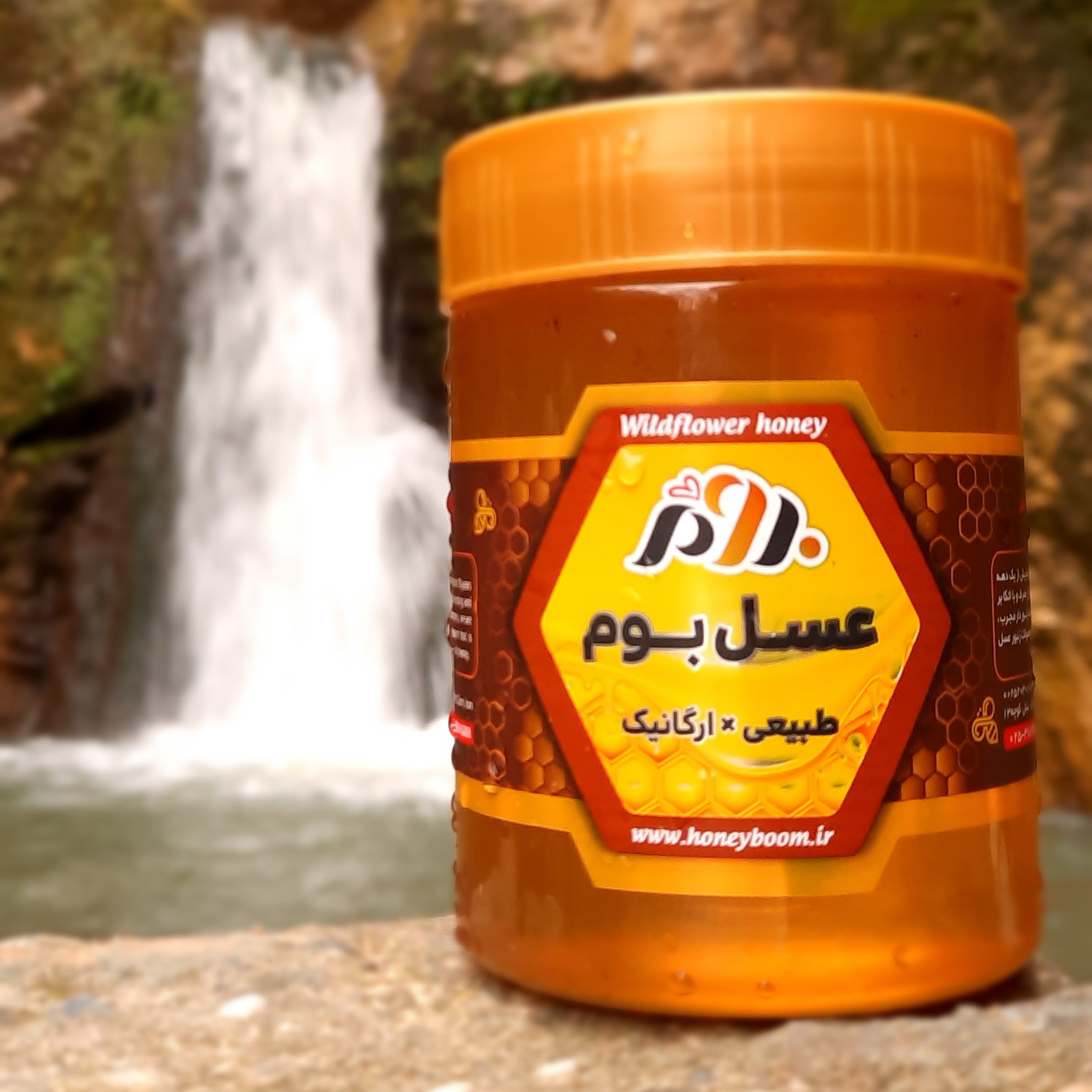 عسل دشت 500 گرمی