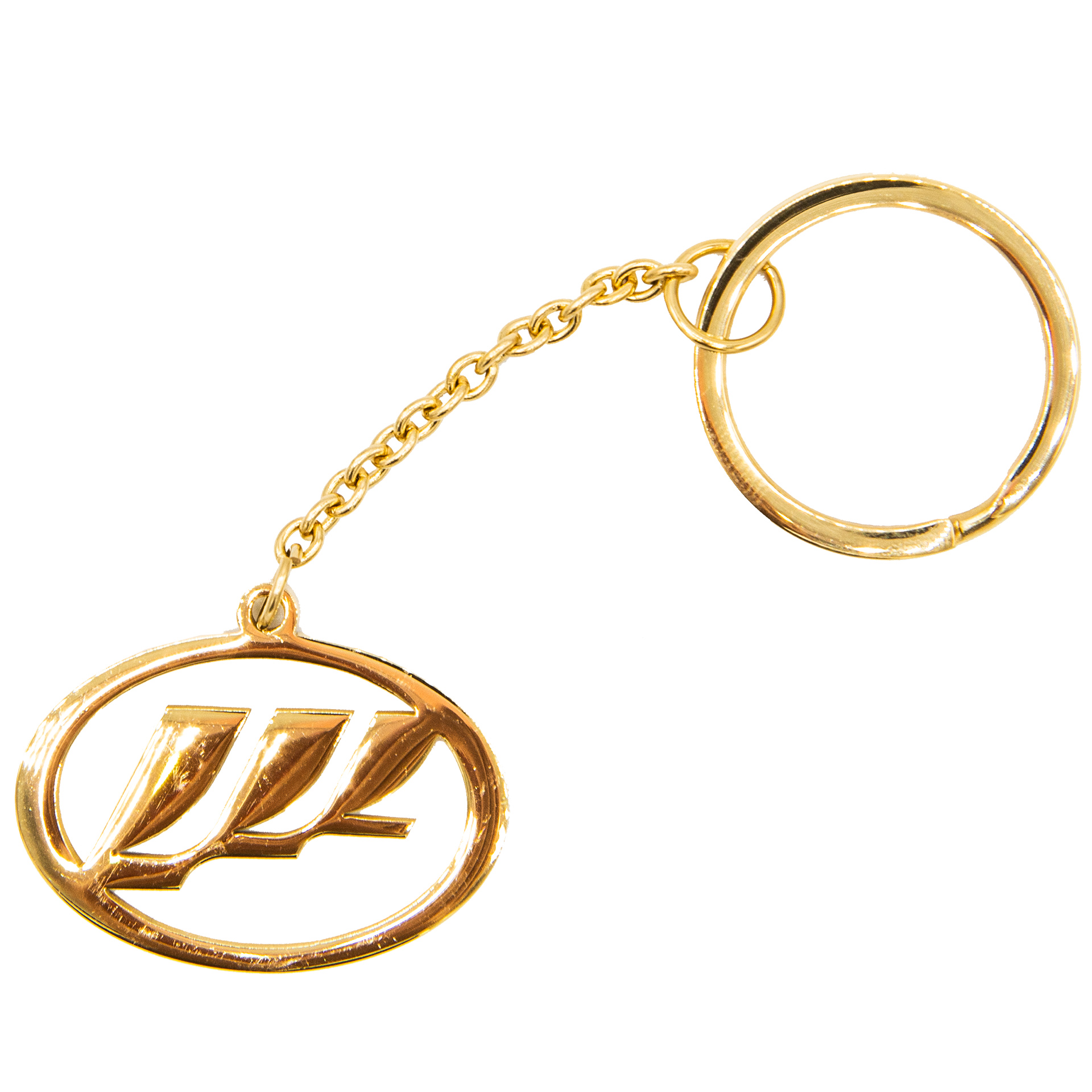 جاسوئیچی خودرو بهارگالری طرح لیفان