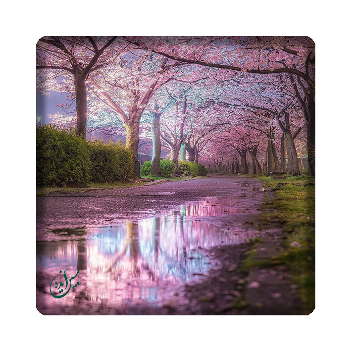 کاشی مبین ایده مدل منظره kh10 کد 1736