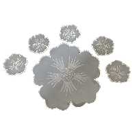 قالب رزین مدل گل مجموعه 6 عددی