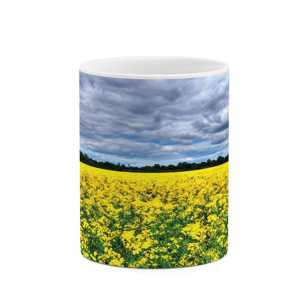 ماگ طرح دشت گل مدل mug04490