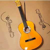 گیتار دیاموند 