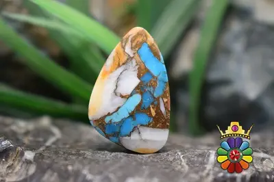 صدف خاردار ترکیبی