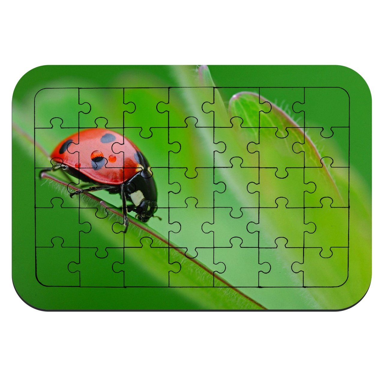 پازل 35 تکه طرح کفشدوزک و برگ سبز مدل NI2105 